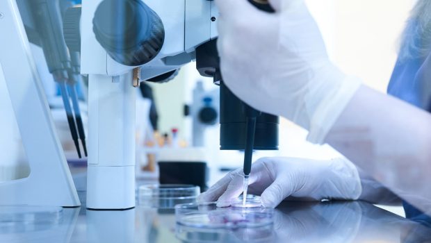HamiltonThorne_HumanIVFClinical_416300006